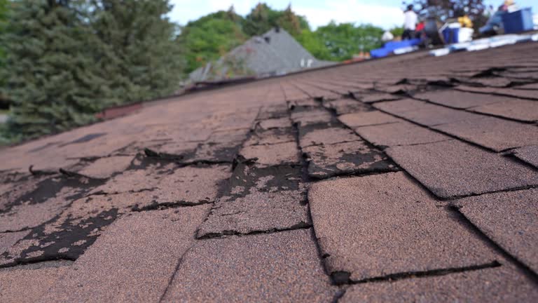 Best Solar Panel Roofing Installation  in Kalamazoo, MI