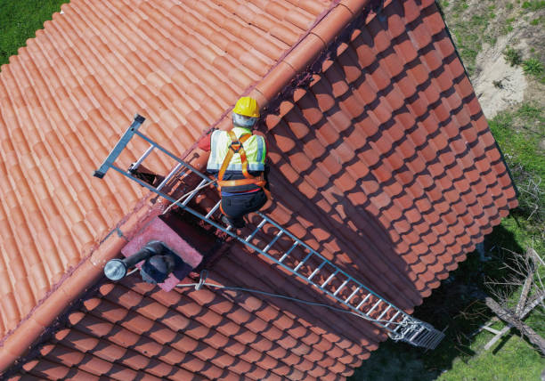 Best Skylight Installation and Repair  in Kalamazoo, MI