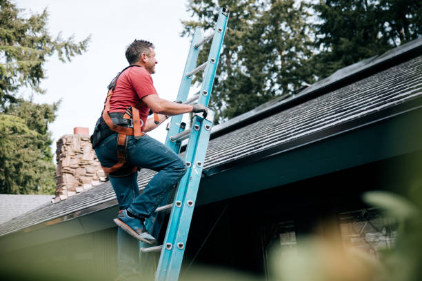 Best Roof Insulation Installation  in Kalamazoo, MI