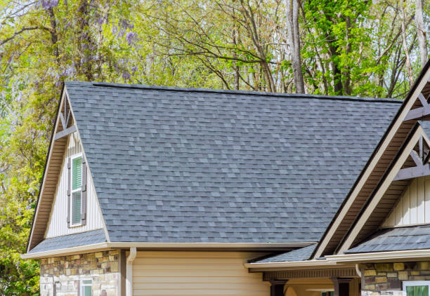 Best Roof Ventilation Installation  in Kalamazoo, MI